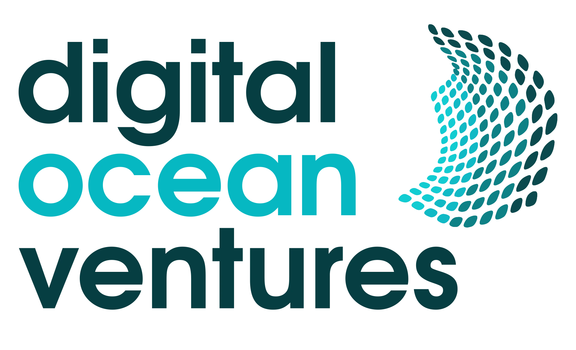 Digital Ocean Ventures